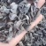 黑木耳东北特产新货东北特产黑木耳干货长白山秋木耳小碗