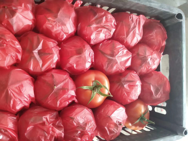 精品食鲜蔬菜货源充足