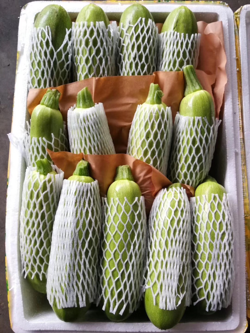 精品食鲜蔬菜货源充足