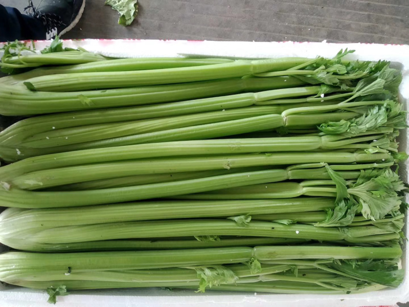 精品食鲜蔬菜货源充足