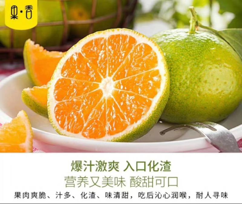 东江湖蜜橘大量上市中