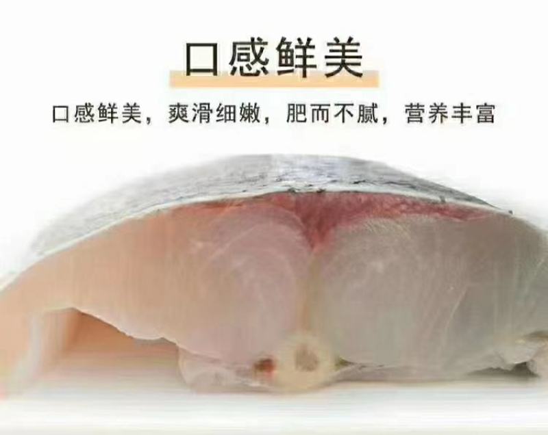 鱼块，质量好，麻辣鱼块，五香鱼块，厂家直销，价格超低