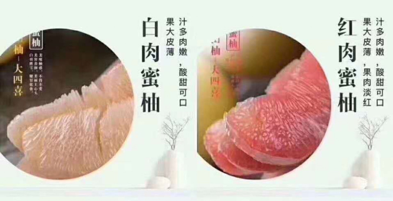 红白心柚子蜜柚沙田柚通货柚子柚子茶原材料