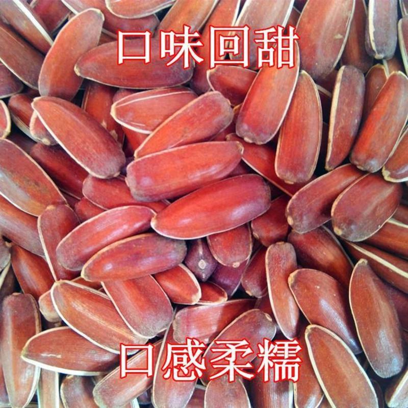 2023年新货云南红皮葵花籽（口感香甜）农户直发
