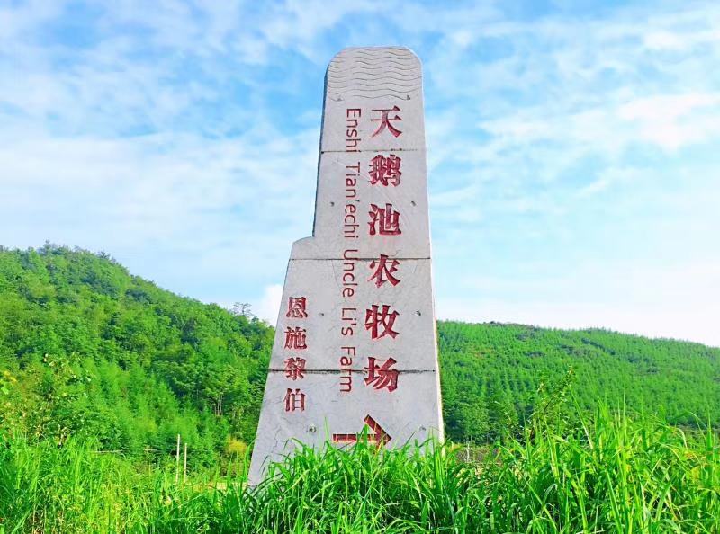 恩施土豆，恩施硒土豆，高山小土豆，地标产品，新鲜产地直发