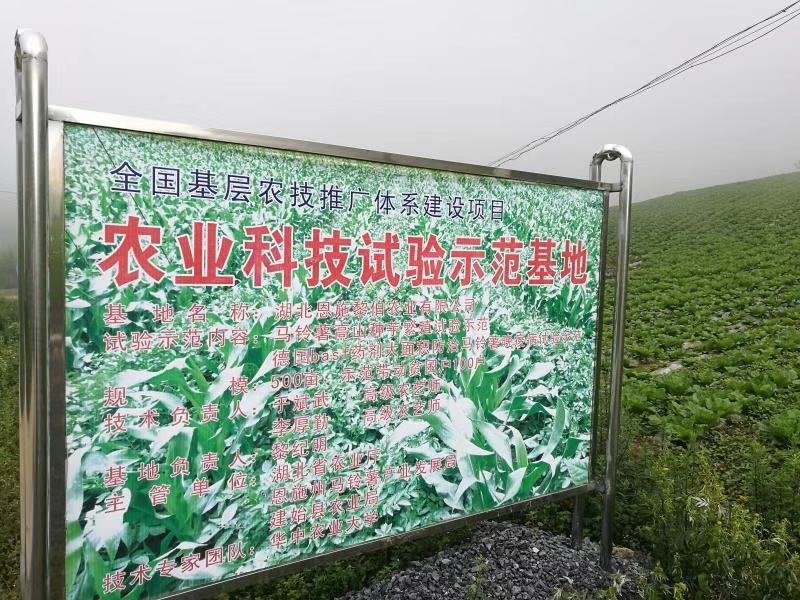 恩施土豆，恩施硒土豆，高山小土豆，地标产品，新鲜产地直发