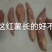 西瓜红红薯，烤红薯型红薯，口感颜色，甜度超好。