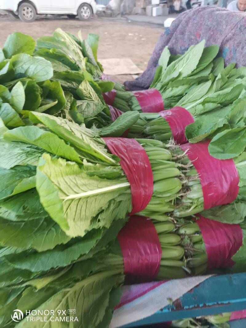 优质小白菜，量大，价格合理，无黄叶，有市场采购员速电