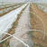 玻璃纤维农业拱棚杆支架，各种规格，根据客户需求定制