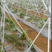 玻璃纤维农业拱棚杆支架，各种规格，根据客户需求定制