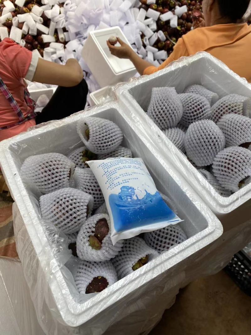 泰国山竹5斤46.8元一件代发无痕发货