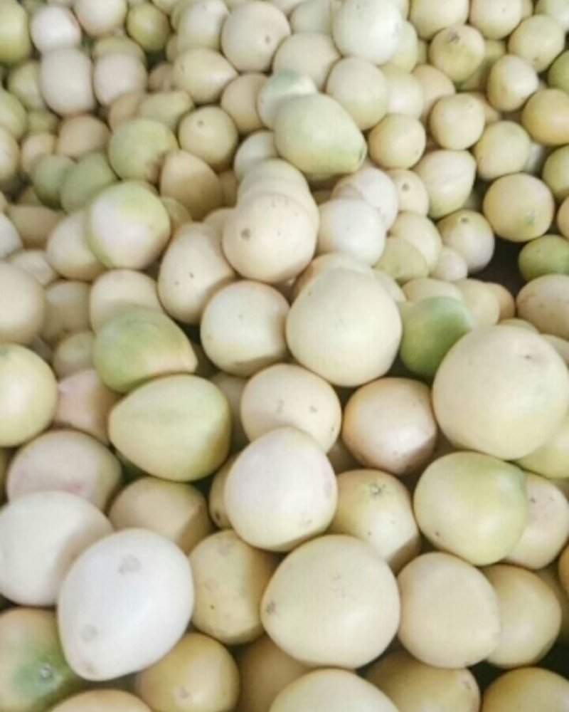 只卖正宗平和琯溪蜜柚，包售后，可代发货，欢迎对接