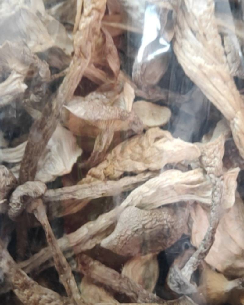 鹿茸菇！！！！！！！！！！！