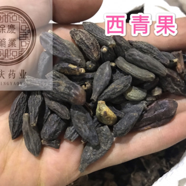 西青果青果保庆药业批发西青果实物拍摄青果