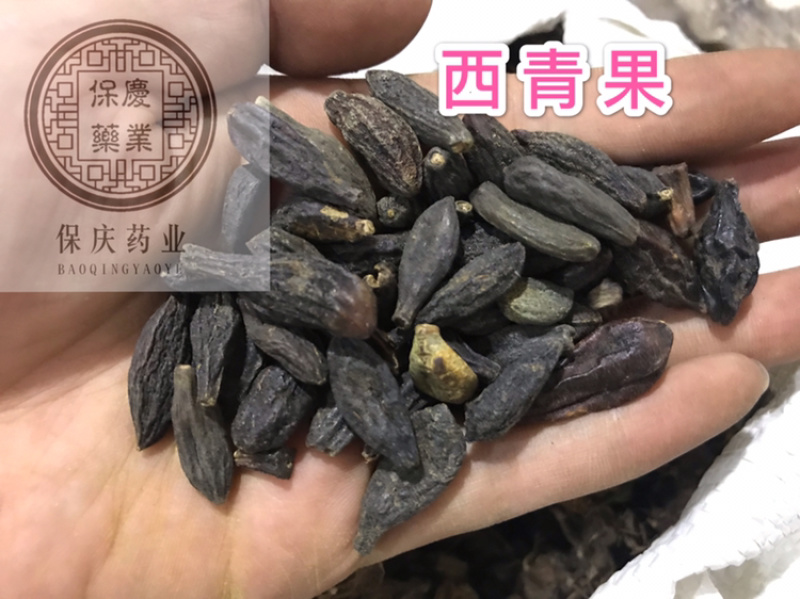 西青果青果保庆药业批发西青果实物拍摄青果
