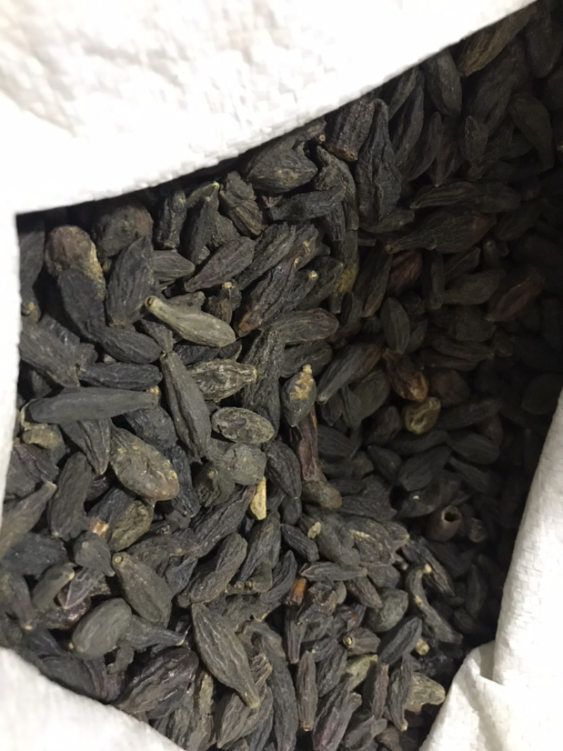 西青果青果保庆药业批发西青果实物拍摄青果