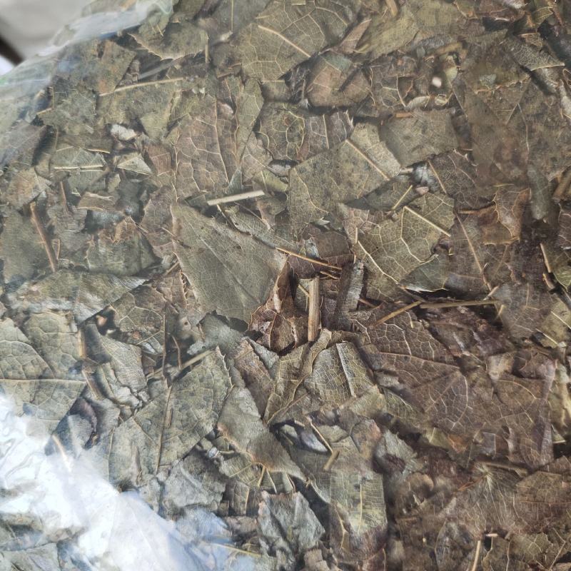 【文斌药业】炙淫羊藿在线交易干净无杂质地道药材