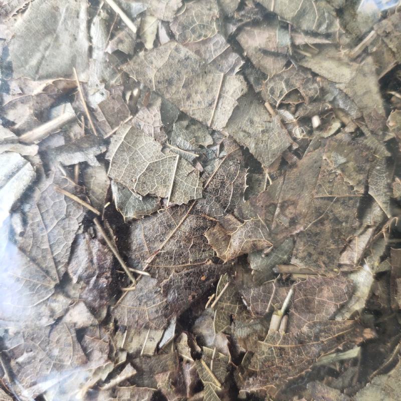 【文斌药业】炙淫羊藿在线交易干净无杂质地道药材