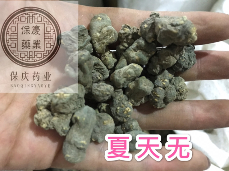 夏天无现货保庆药材一粒金丹落水珠野延胡夏天无