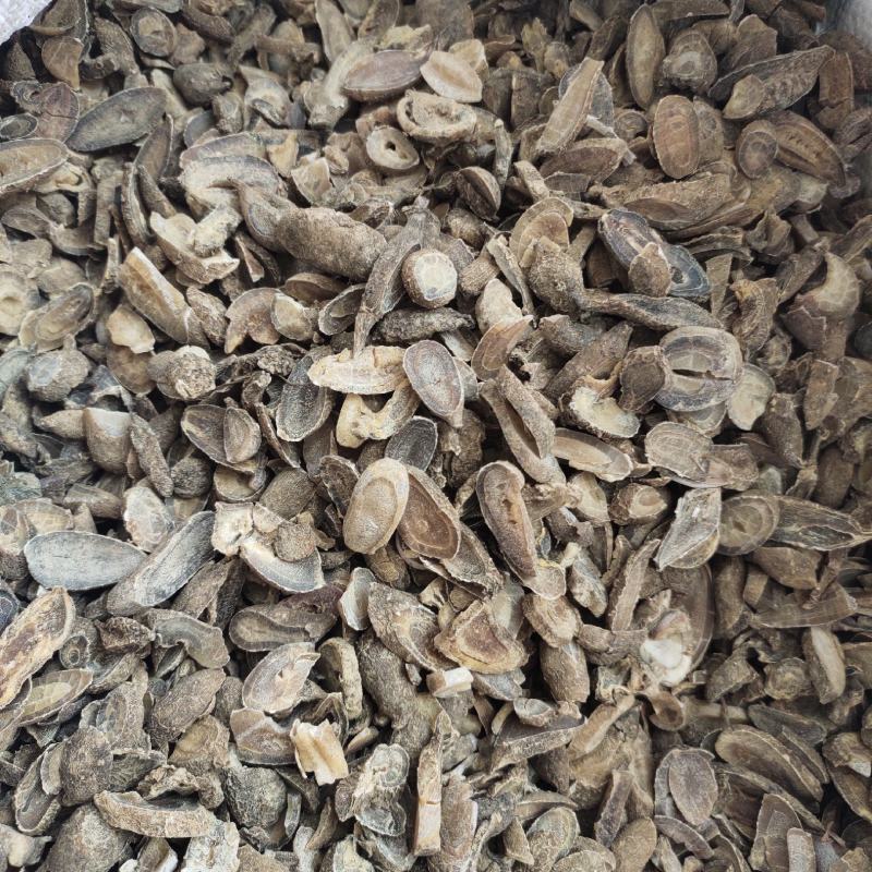 【文斌药业】郁金无硫郁金大统货地道药材