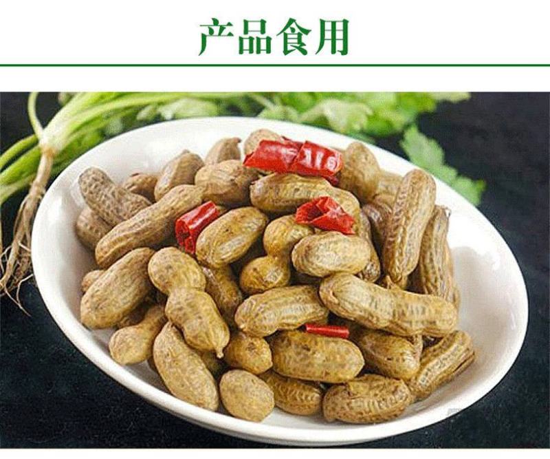 【超值5斤装现挖鲜花生】20年生花生湿花生带泥花生包邮