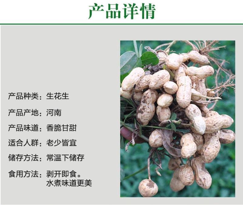 【超值5斤装现挖鲜花生】20年生花生湿花生带泥花生包邮