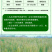香菇多糖番茄辣椒黄瓜烟草芝麻病毒病花叶病小叶病生物杀菌剂