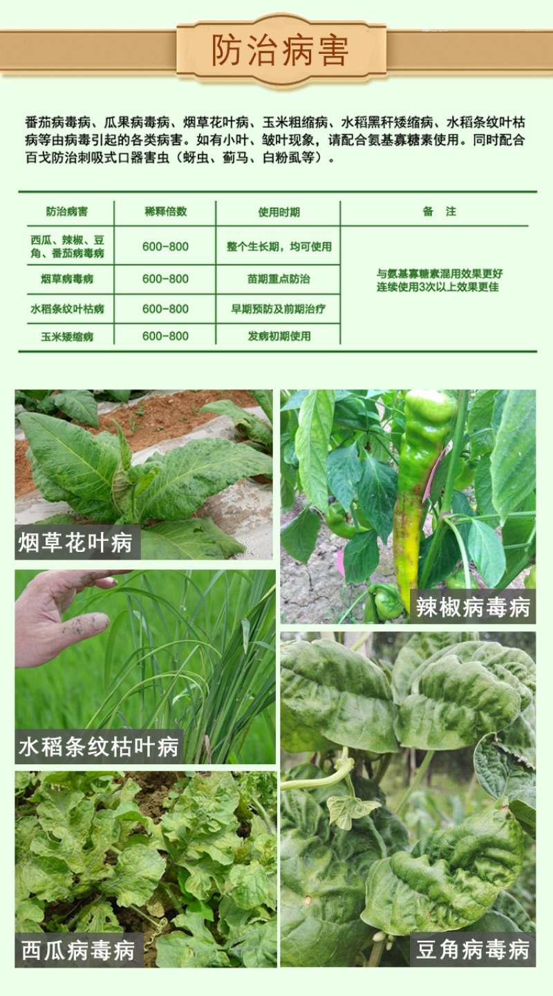 香菇多糖番茄辣椒黄瓜烟草芝麻病毒病花叶病小叶病生物杀菌剂