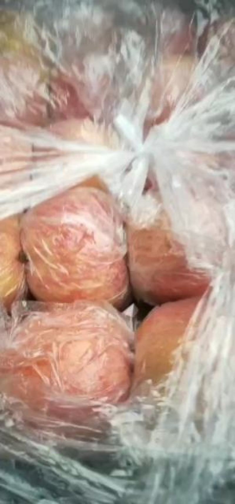 陕西大荔膜袋红富士大量上市欢迎各大团队前来产地采购！