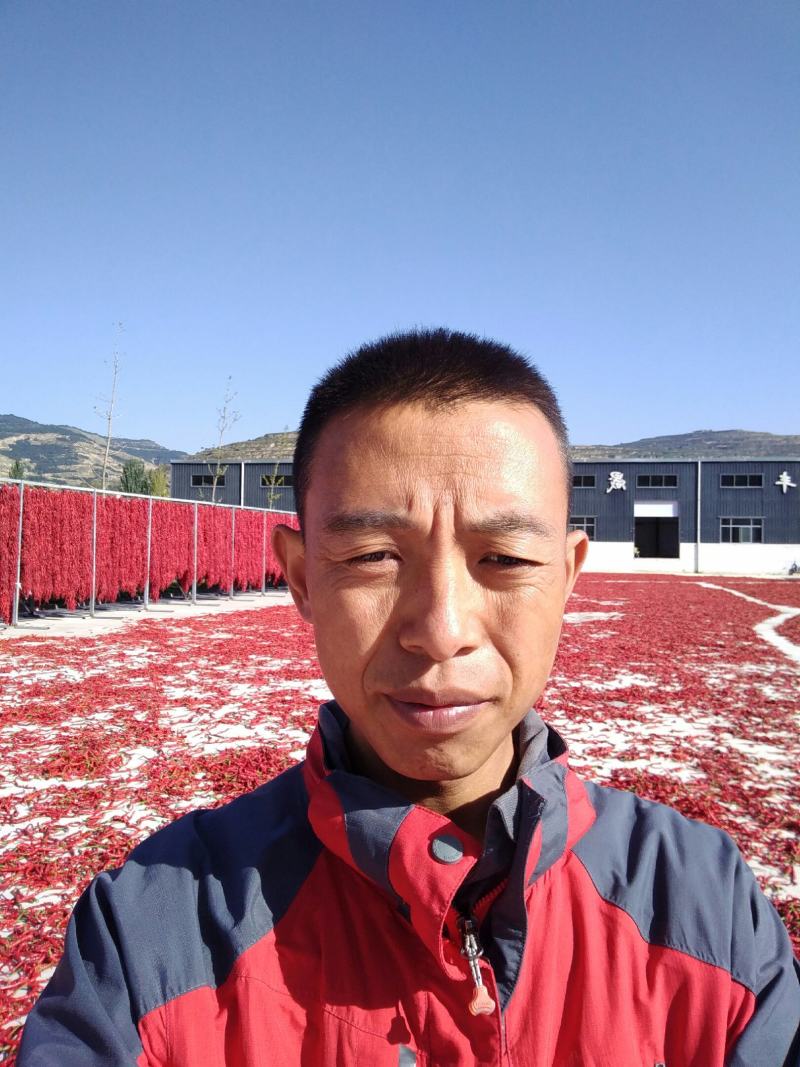 细线椒代收代发量大从优