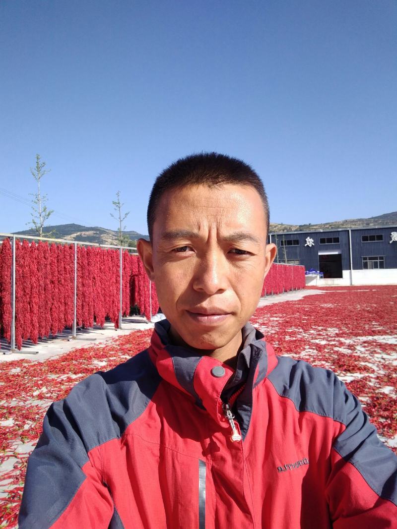 细线椒代收代发量大从优