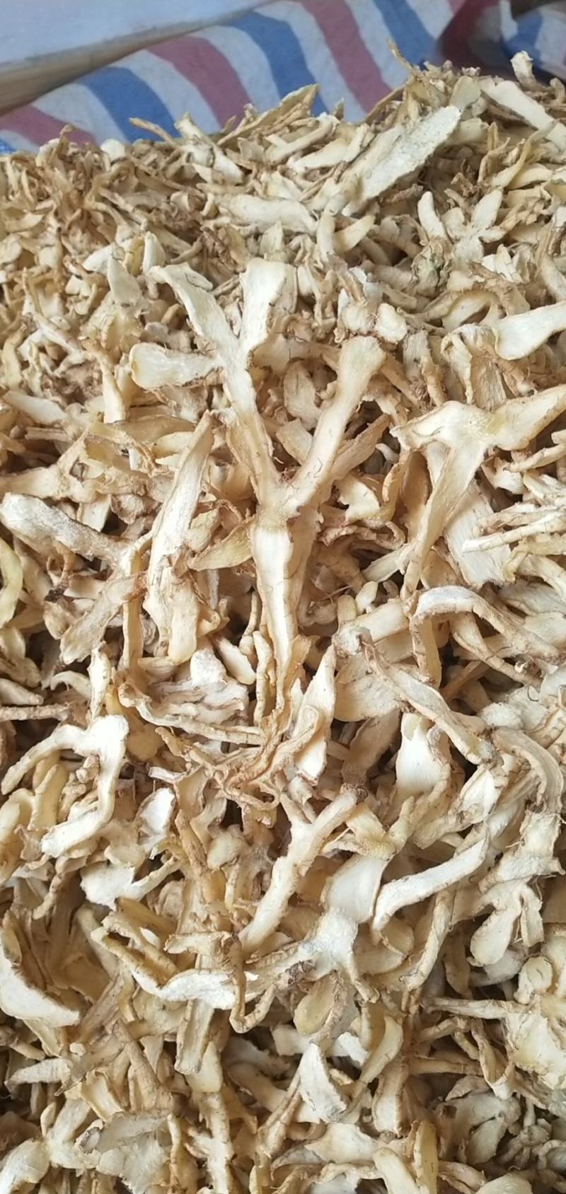 连州粤北自家种植新鲜玉竹