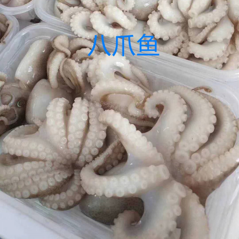 网红爆头八爪鱼，红烧酱焖。一盒300g打好包装