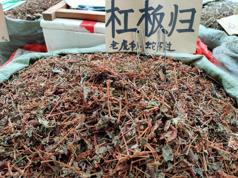 新货野生杠板归，刺犁头，犁头草河白花犁，蛇倒退，蛇不过