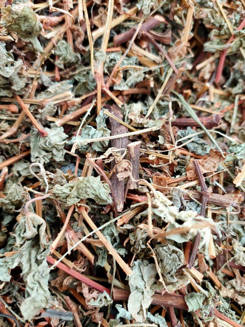 新货野生杠板归，刺犁头，犁头草河白花犁，蛇倒退，蛇不过