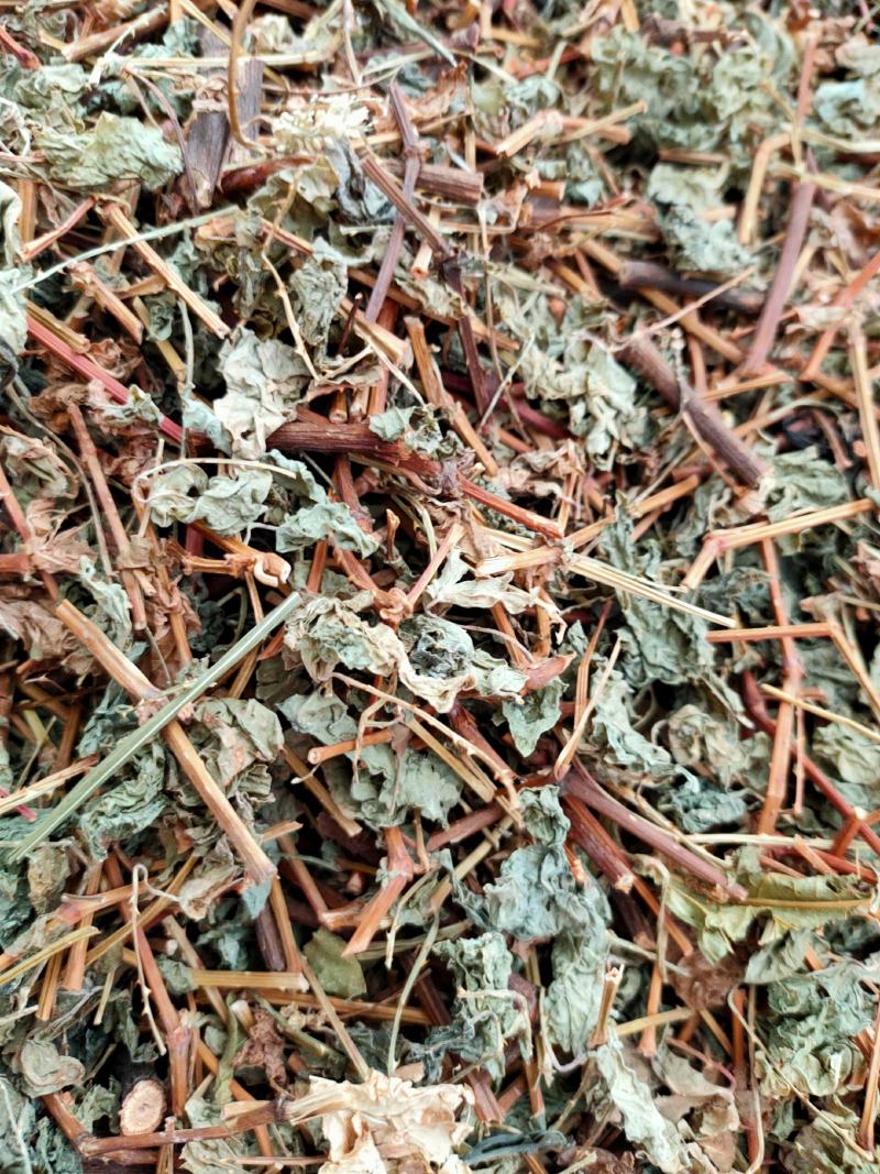 新货野生杠板归，刺犁头，犁头草河白花犁，蛇倒退，蛇不过