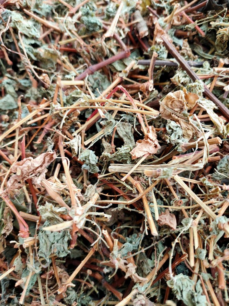 新货野生杠板归，刺犁头，犁头草河白花犁，蛇倒退，蛇不过