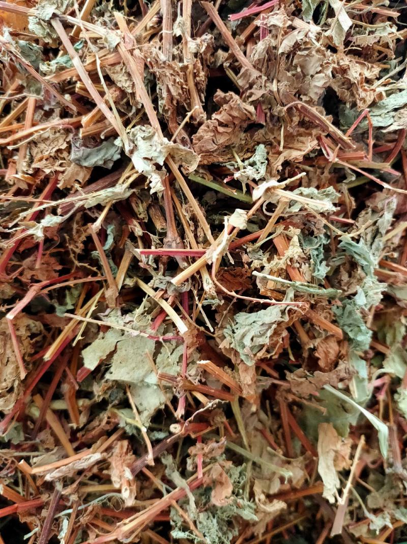 新货野生杠板归，刺犁头，犁头草河白花犁，蛇倒退，蛇不过