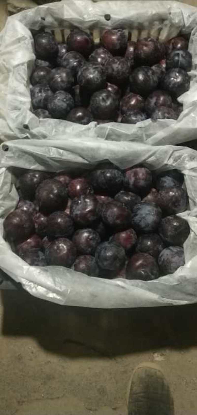 库存黑总统，质量好，制冷标准，客户收的