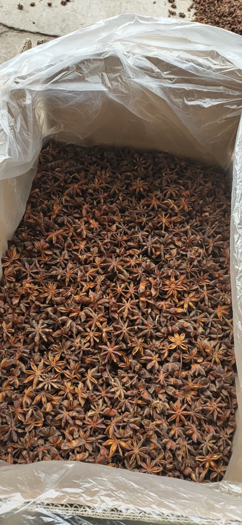 广西产地八角大料。全干无硫水烫果个头大颜色好