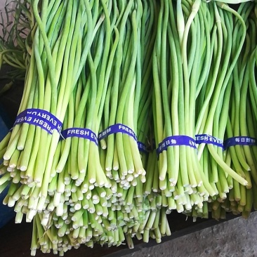 大量出售蒜苔质量好价格低