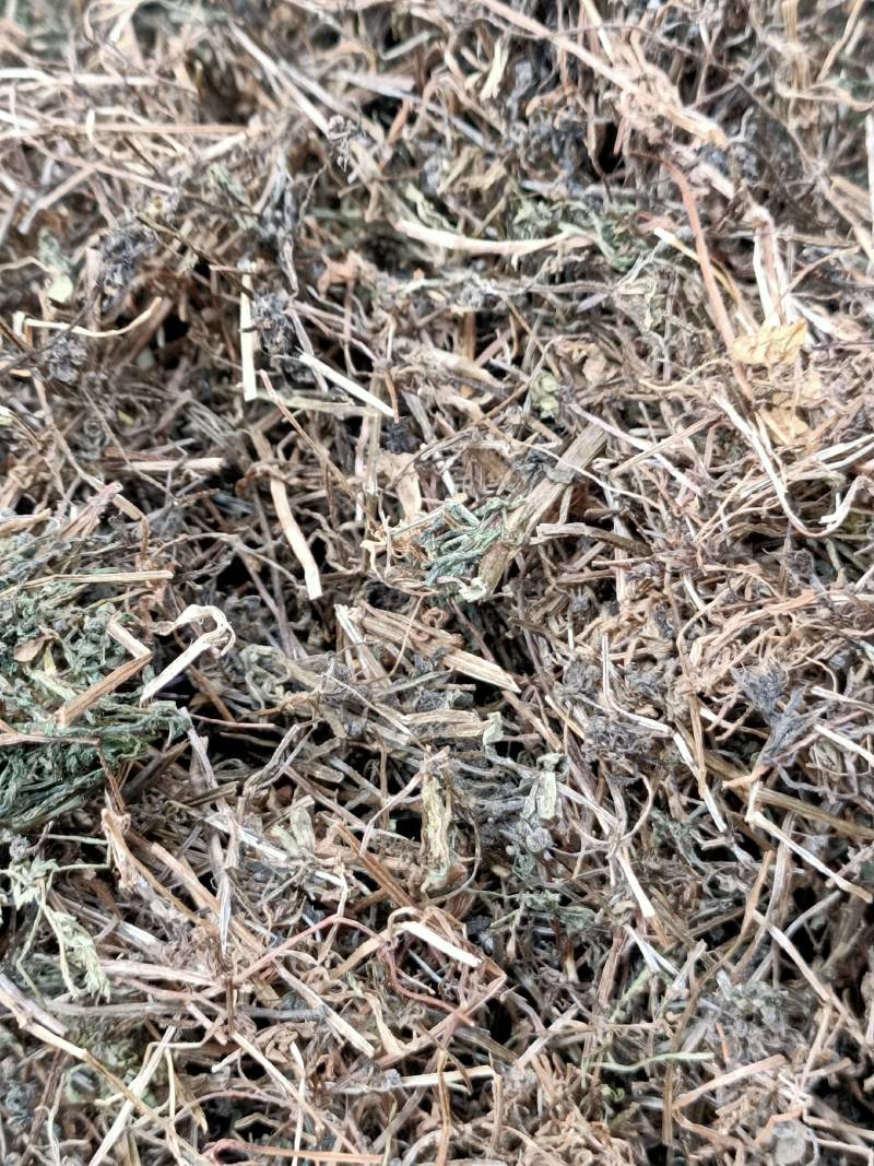 中药材猪秧秧猪殃殃新货野生八仙草锯子草2斤包邮