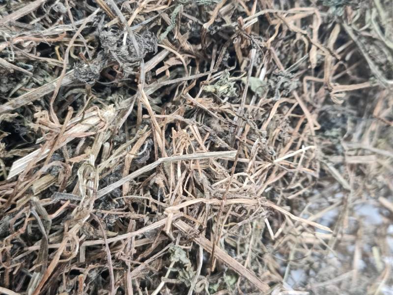 中药材猪秧秧猪殃殃新货野生八仙草锯子草2斤包邮