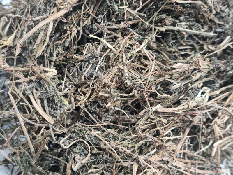 中药材猪秧秧猪殃殃新货野生八仙草锯子草2斤包邮