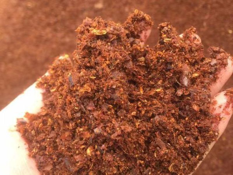 辣椒油渣，蛋白13脂肪20价格公道，品质可靠！