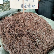 新货黄花酢浆草酸浆草酸酸草酸咪咪野生中草药