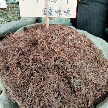 新货黄花酢浆草酸浆草酸酸草酸咪咪野生中草药