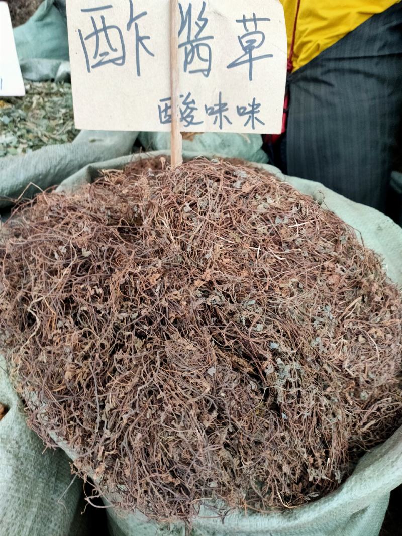 新货黄花酢浆草酸浆草酸酸草酸咪咪野生中草药