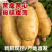 【推荐】荷兰十五土豆无青头虫眼【支持全国发货坏烂包赔】
