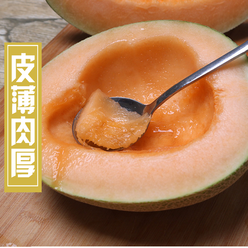 海南哈密瓜小蜜25号，电商、商超，市场基地供应，优质代办